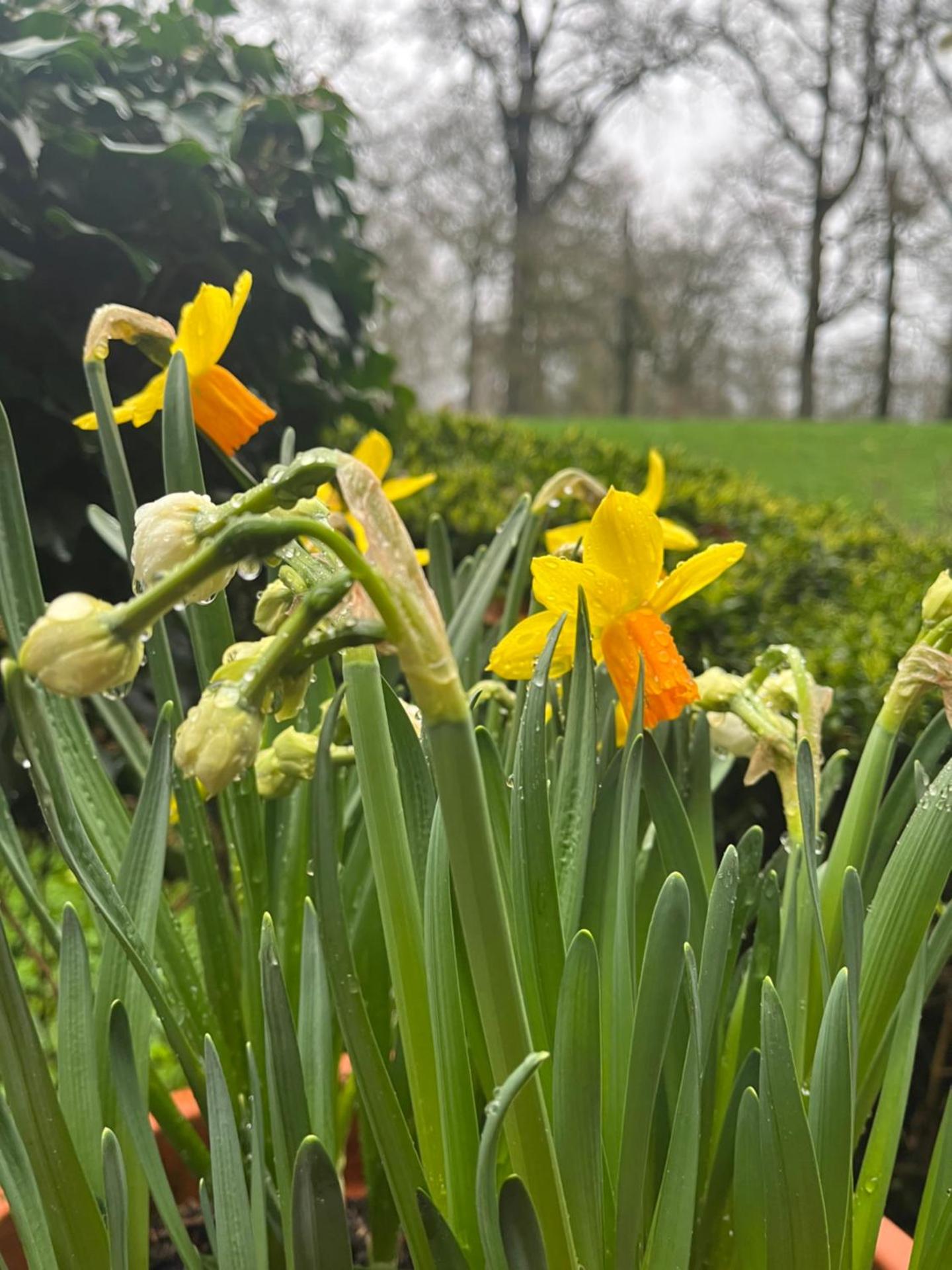 Deventer Heritage en Boutique B&B, museumhuis "De Worp", het huis met de theekoepel, logeren in authentiek historisch erfgoed