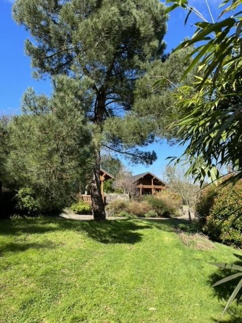 Countryside 3 Bedroom Log Cabin With Private Hot Tub - Ash