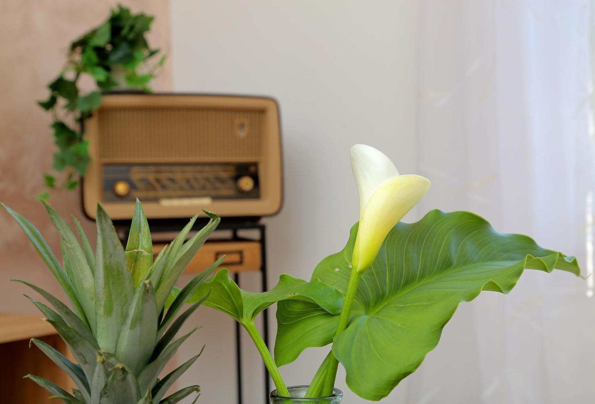 Blue Cliff Apartment