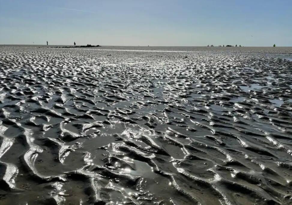 Cottage 213 in Sunparks Oostduinkerke with free parking and garden