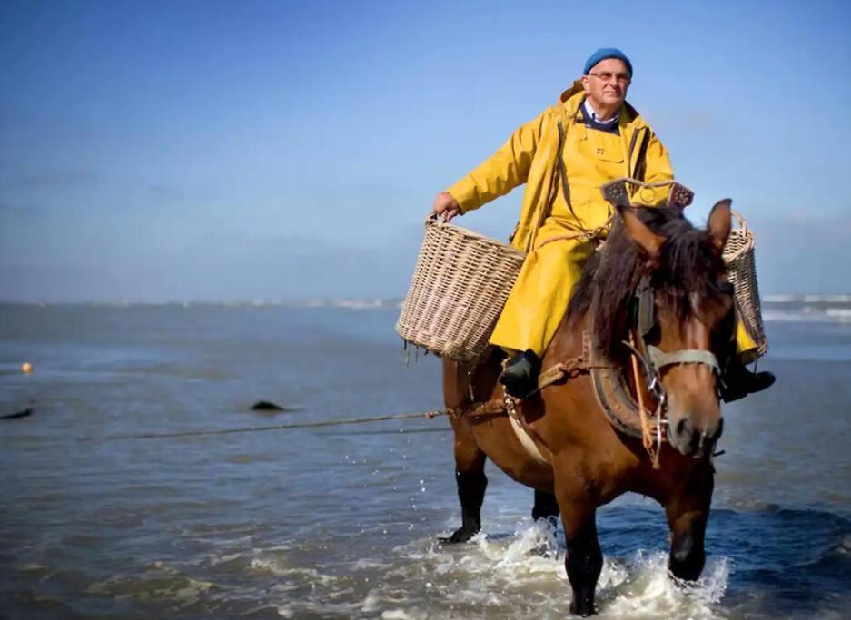 Cottage 213 in Sunparks Oostduinkerke with free parking and garden