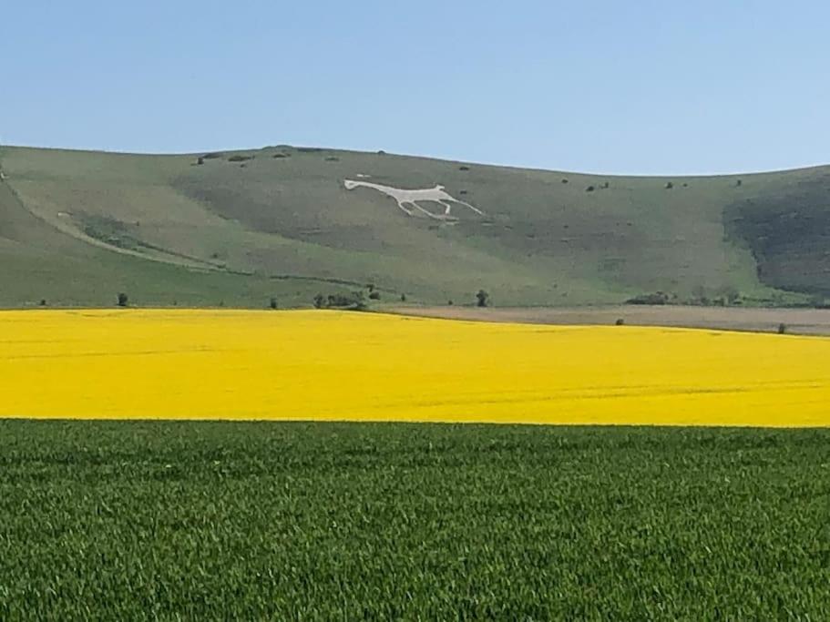 Stylish Cottage in the Pewsey Vale