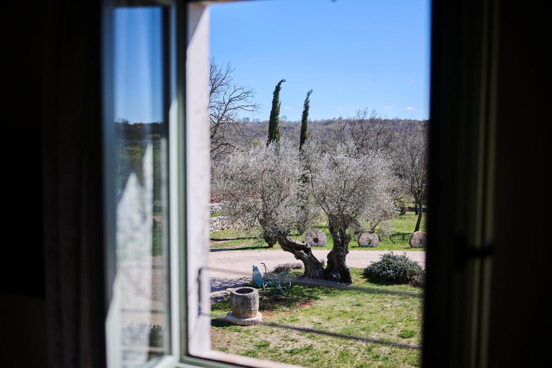 Winery Cuj Bed & Breakfast