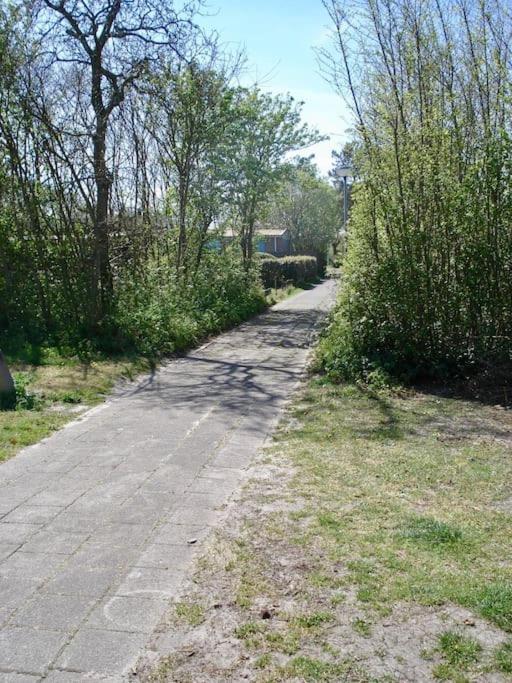 Strandhuisje DAAN dicht bij zee en strand