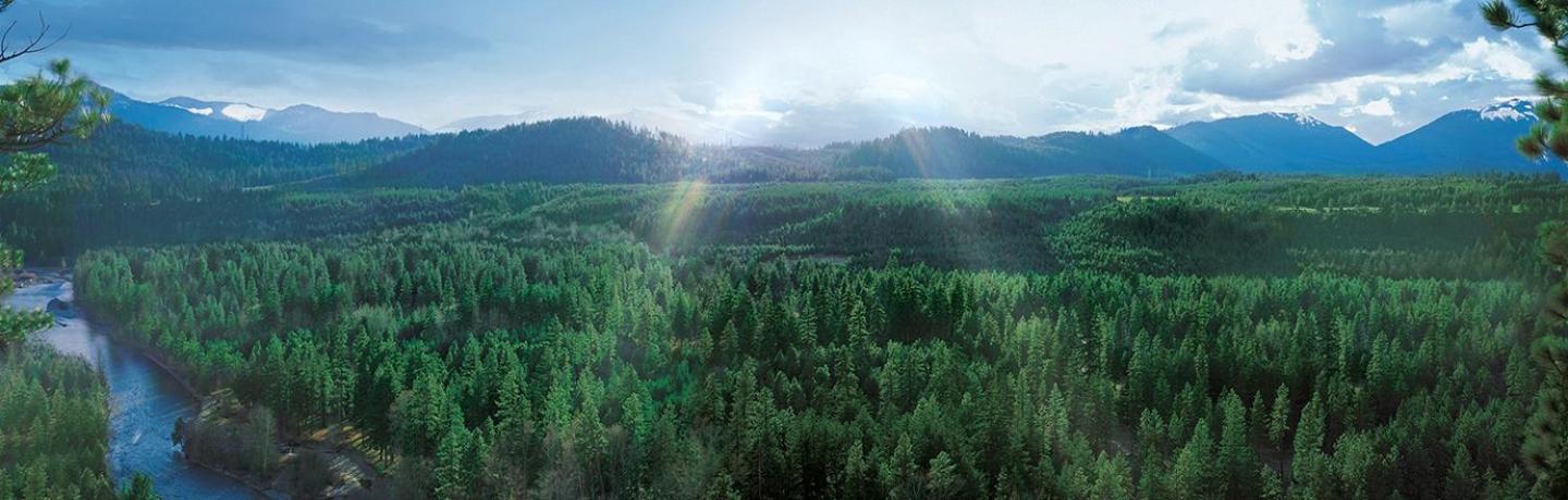 Suncadia Lodge Studio Unit