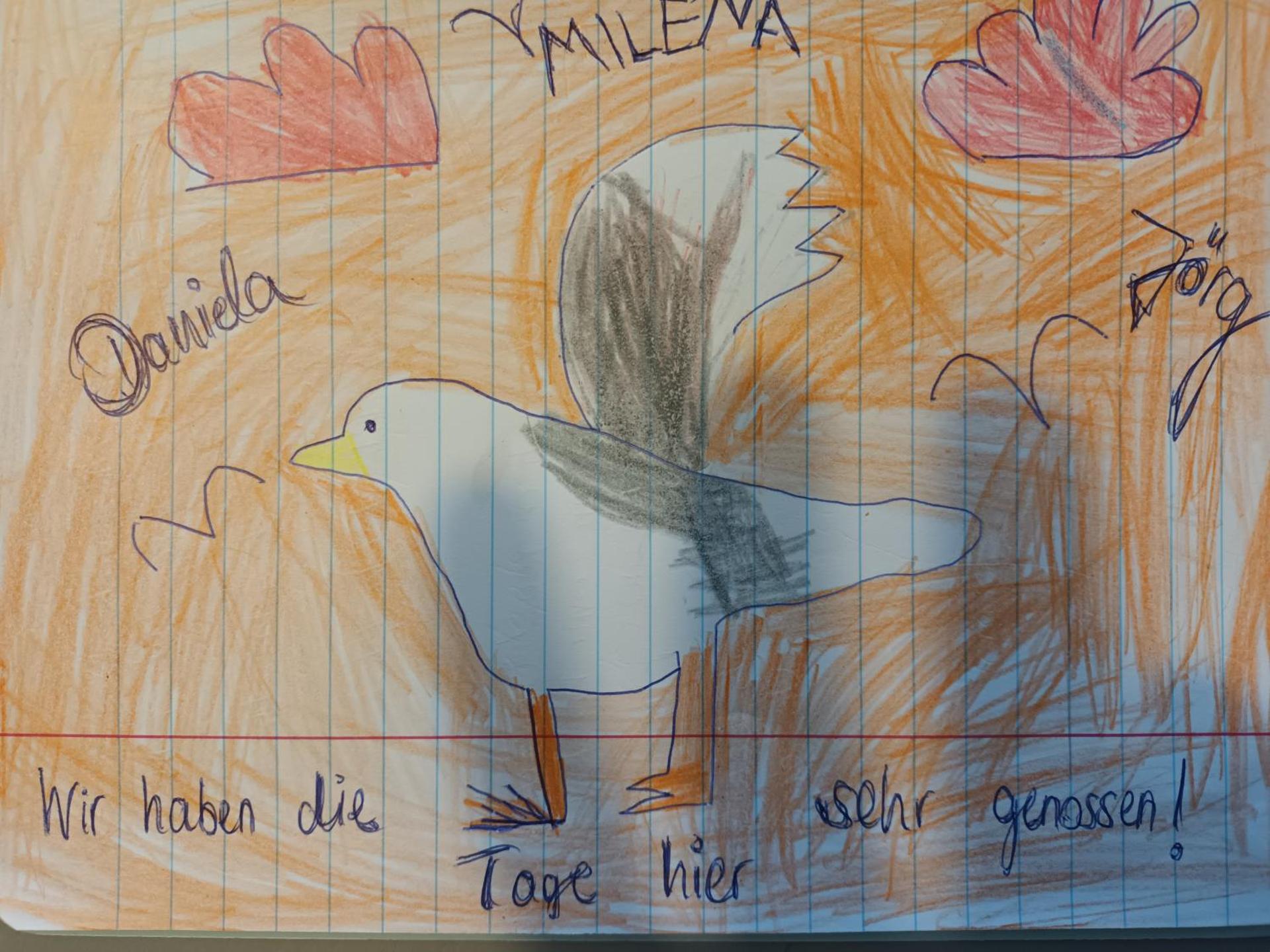 Genieten van de Vlaamse kust met prachtig zeezicht