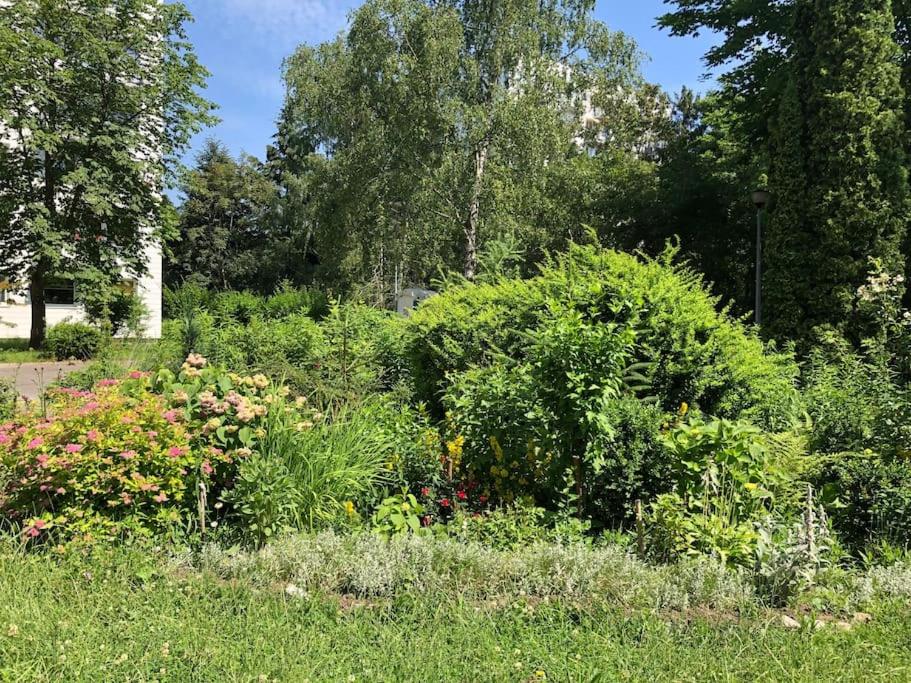 Przytulny apartament w spokojnej dzielnicy Sopotu