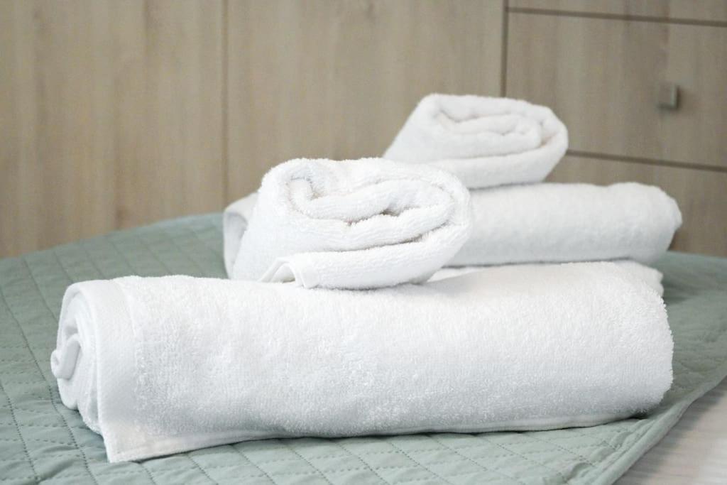 Marie's Luxury city center apartment