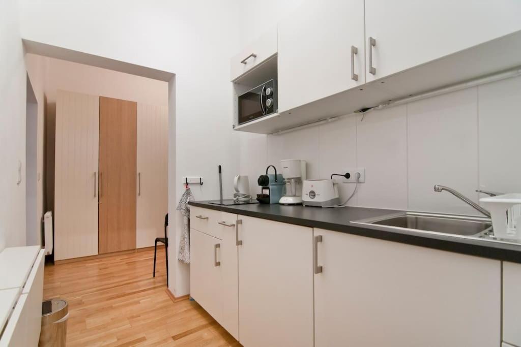 Central Apartment Vienna City Center