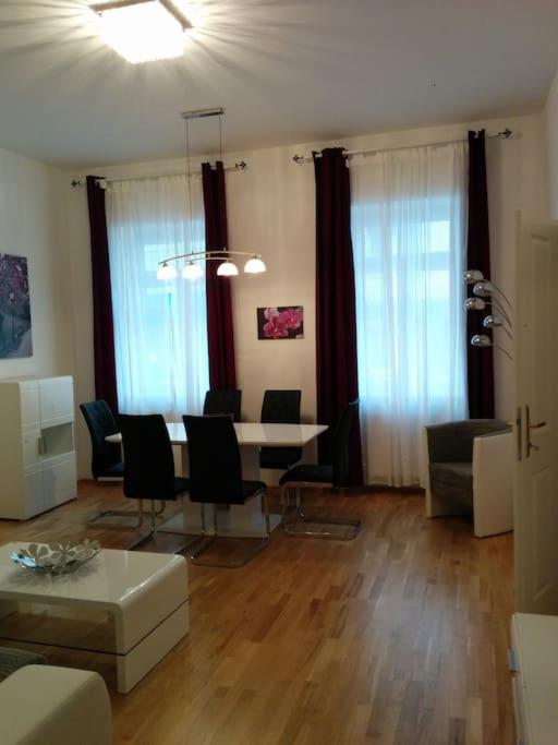 Central Apartment Vienna City Center