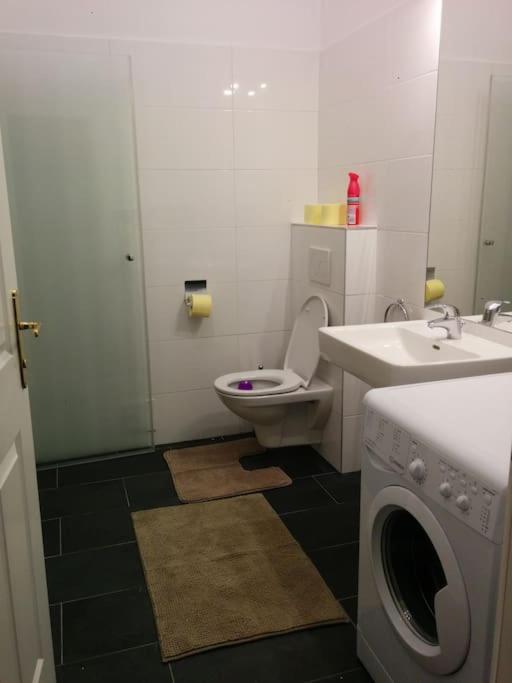 Central Apartment Vienna City Center