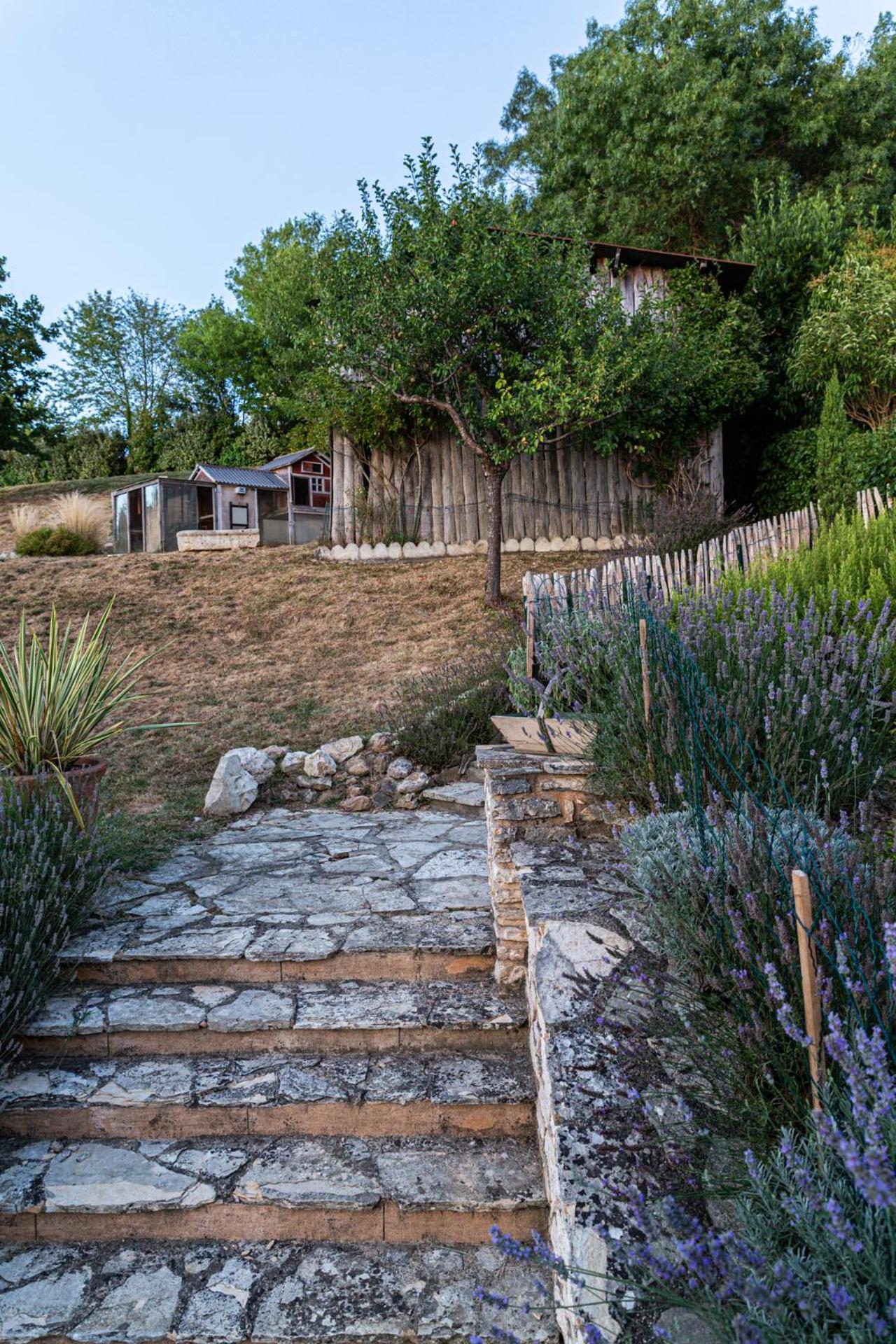 View (from property/room)