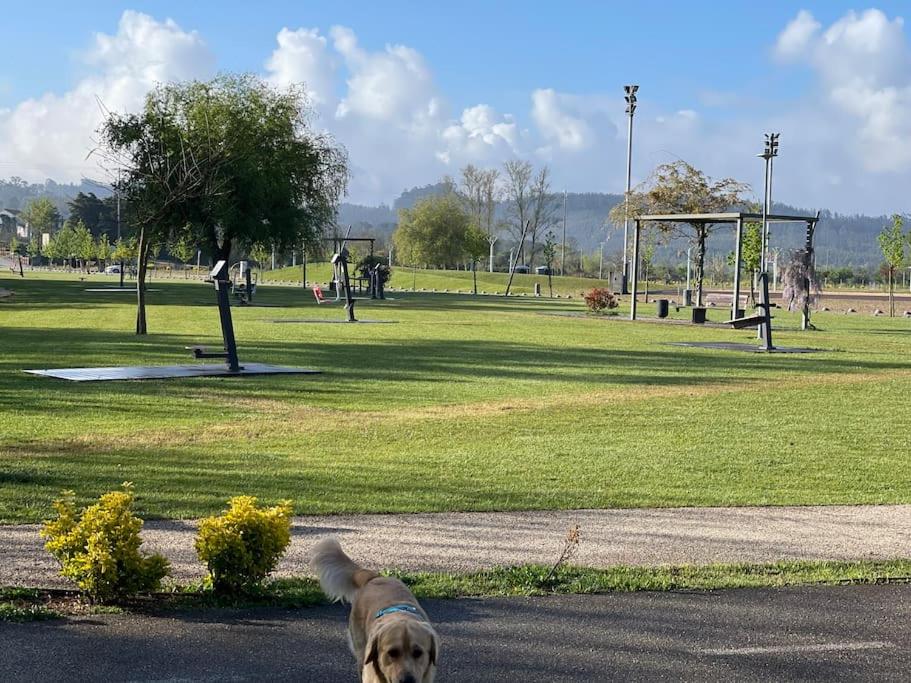 Cantinhos Da Serra e Sopé, Soure