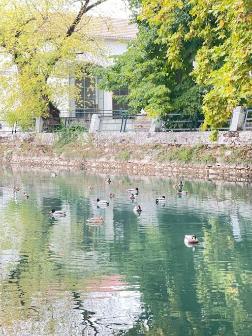 Cantinhos Da Serra e Sopé, Soure