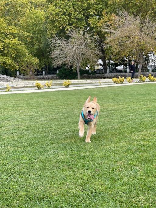 Cantinhos Da Serra e Sopé, Soure