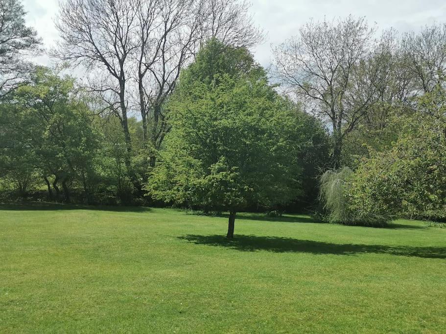 The Squirrels- Alresford, Essex