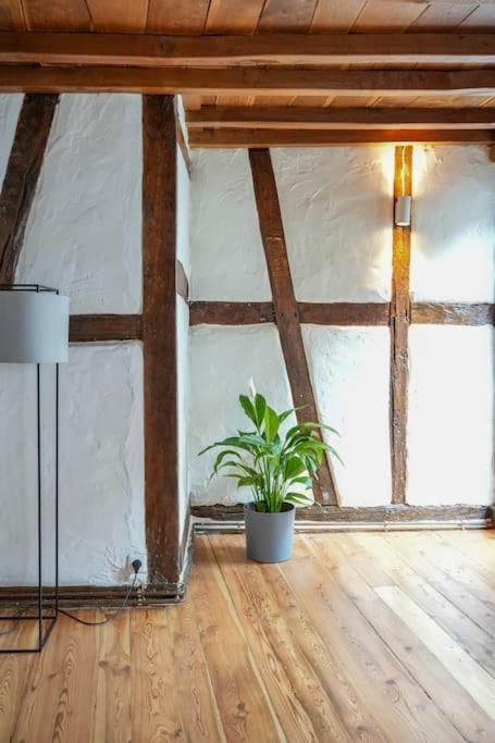 Charmante Fachwerk Wohnung mit Terrasse in der Altstadt