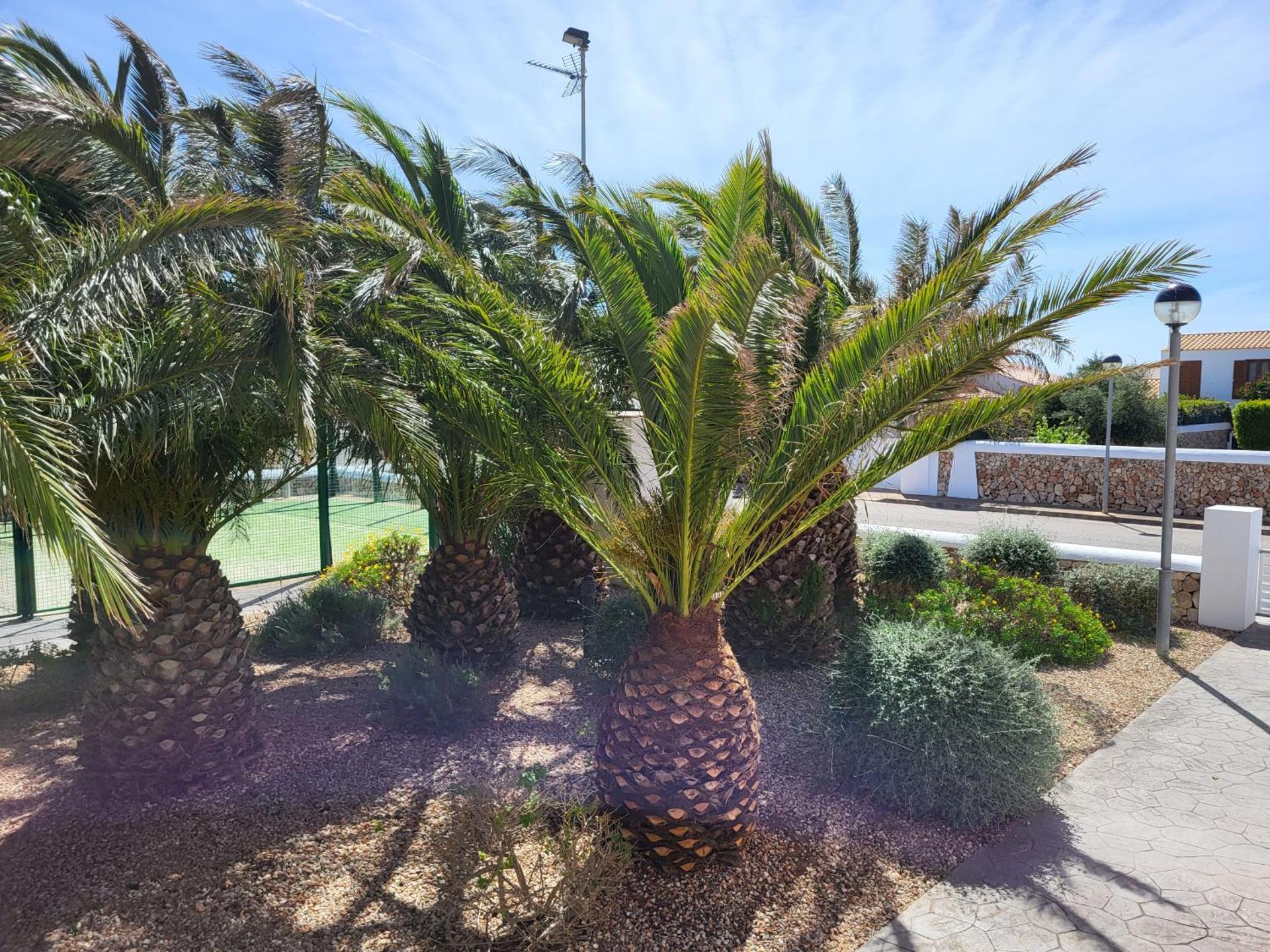 Your House in Menorca