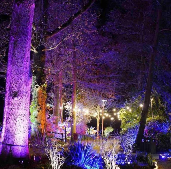 New Forest lodge - 194 NO PETS