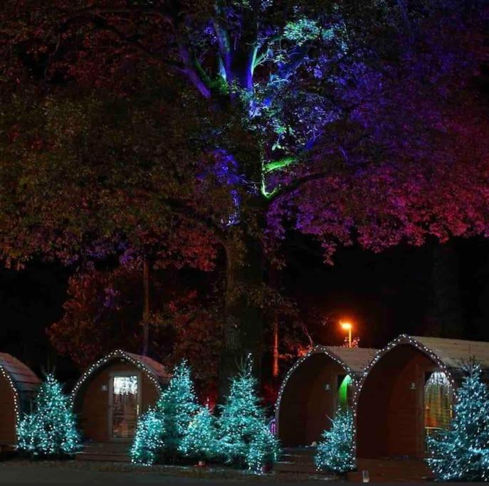 New Forest lodge - 194 NO PETS