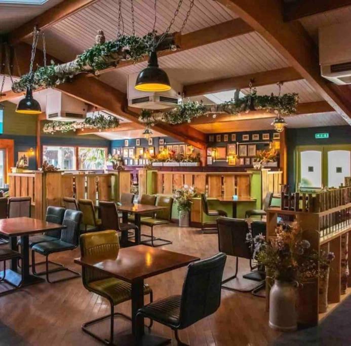 New Forest lodge - 194 NO PETS