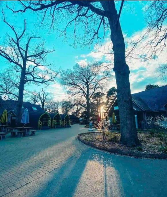 New Forest lodge - 194 NO PETS