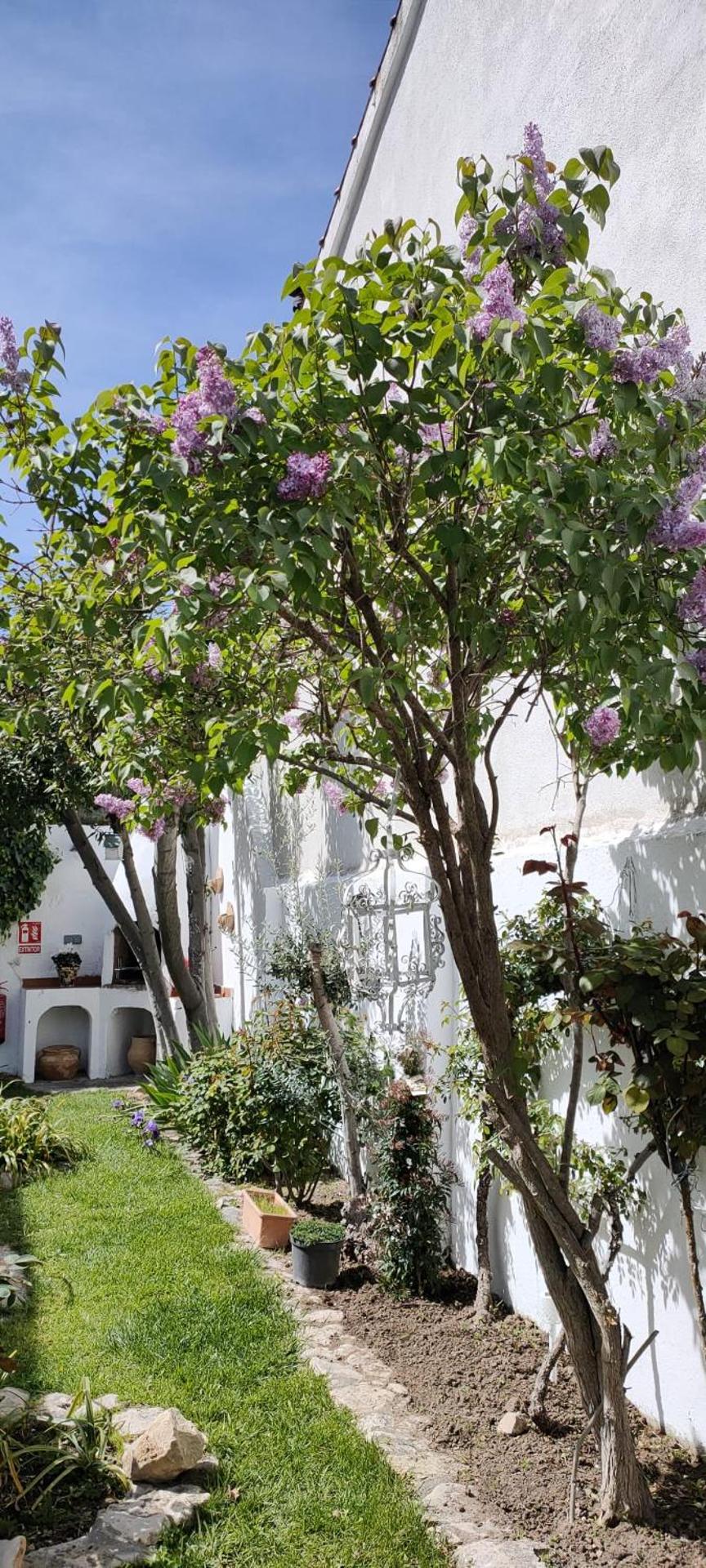 LOS SUEÑOS DE BUENDÍA