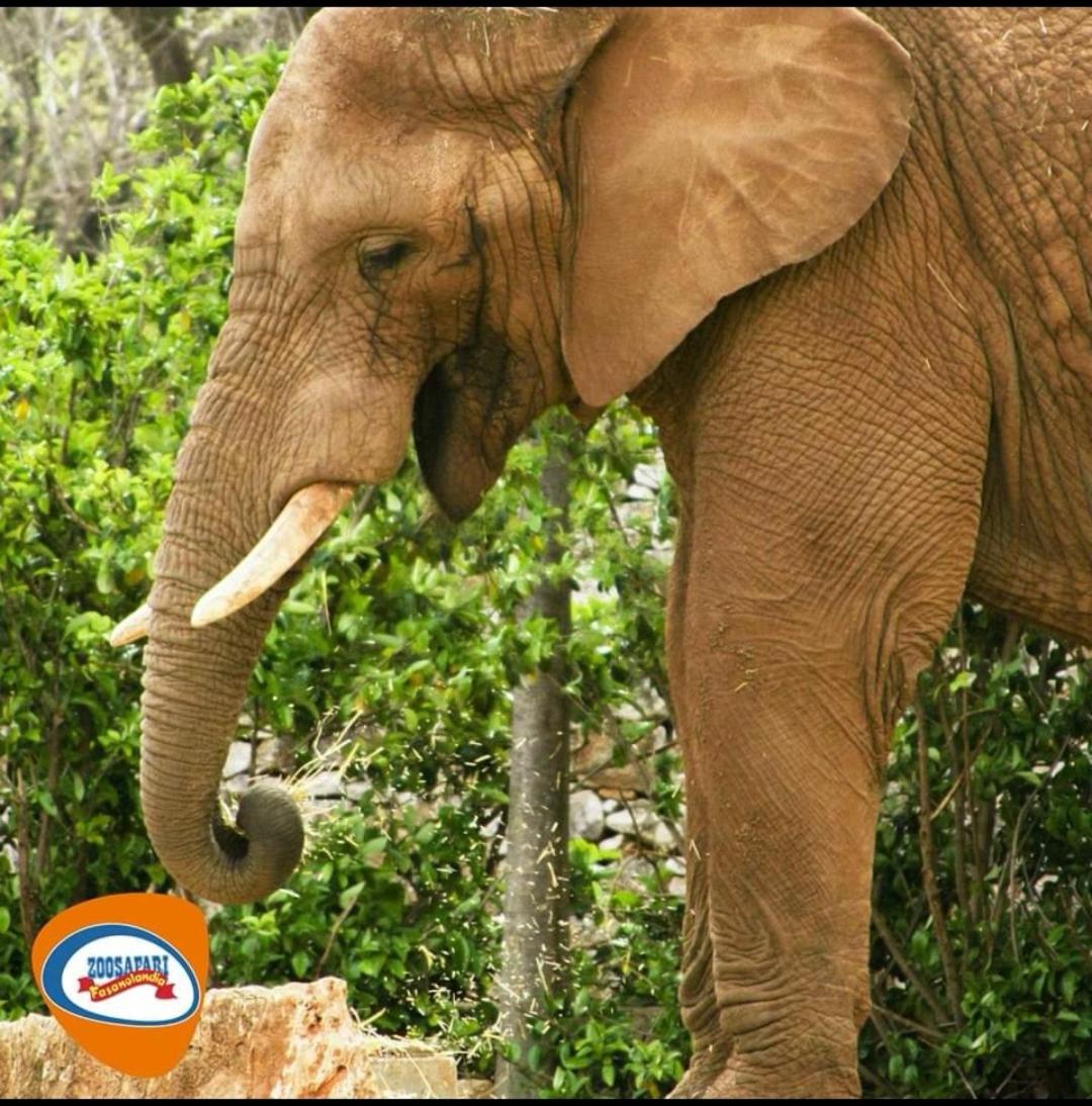 La dimora delle teresiane