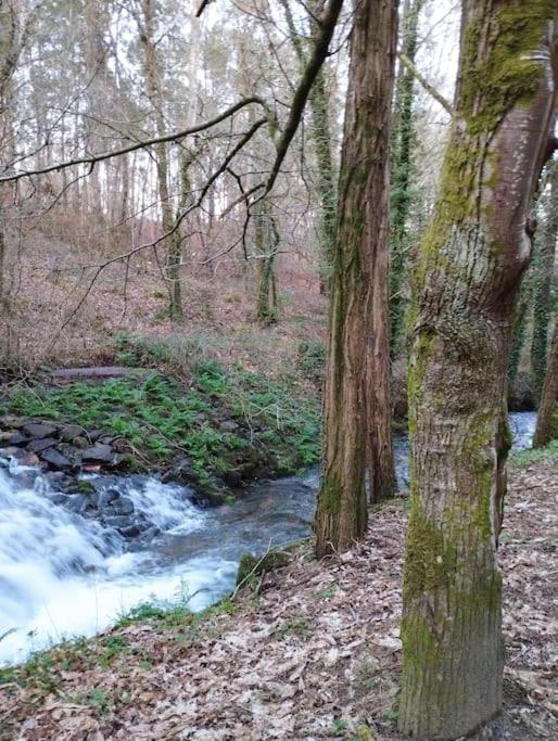 Apartamento Morriña