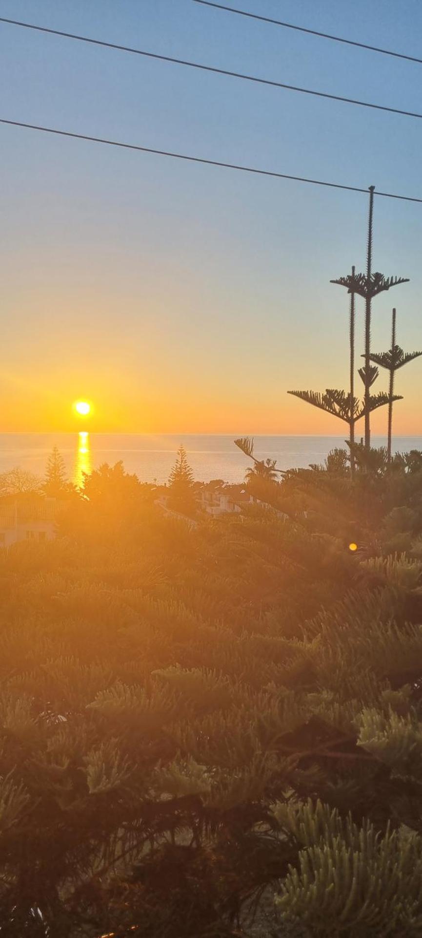 Voulitsa's Apartment