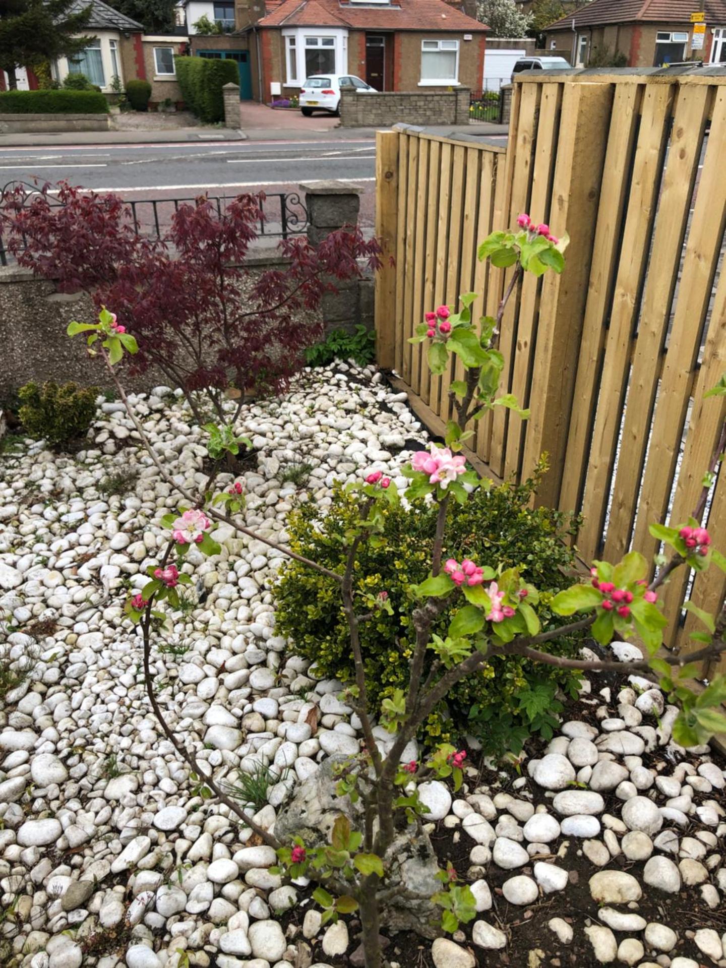 Netherby Guest House Edinburgh