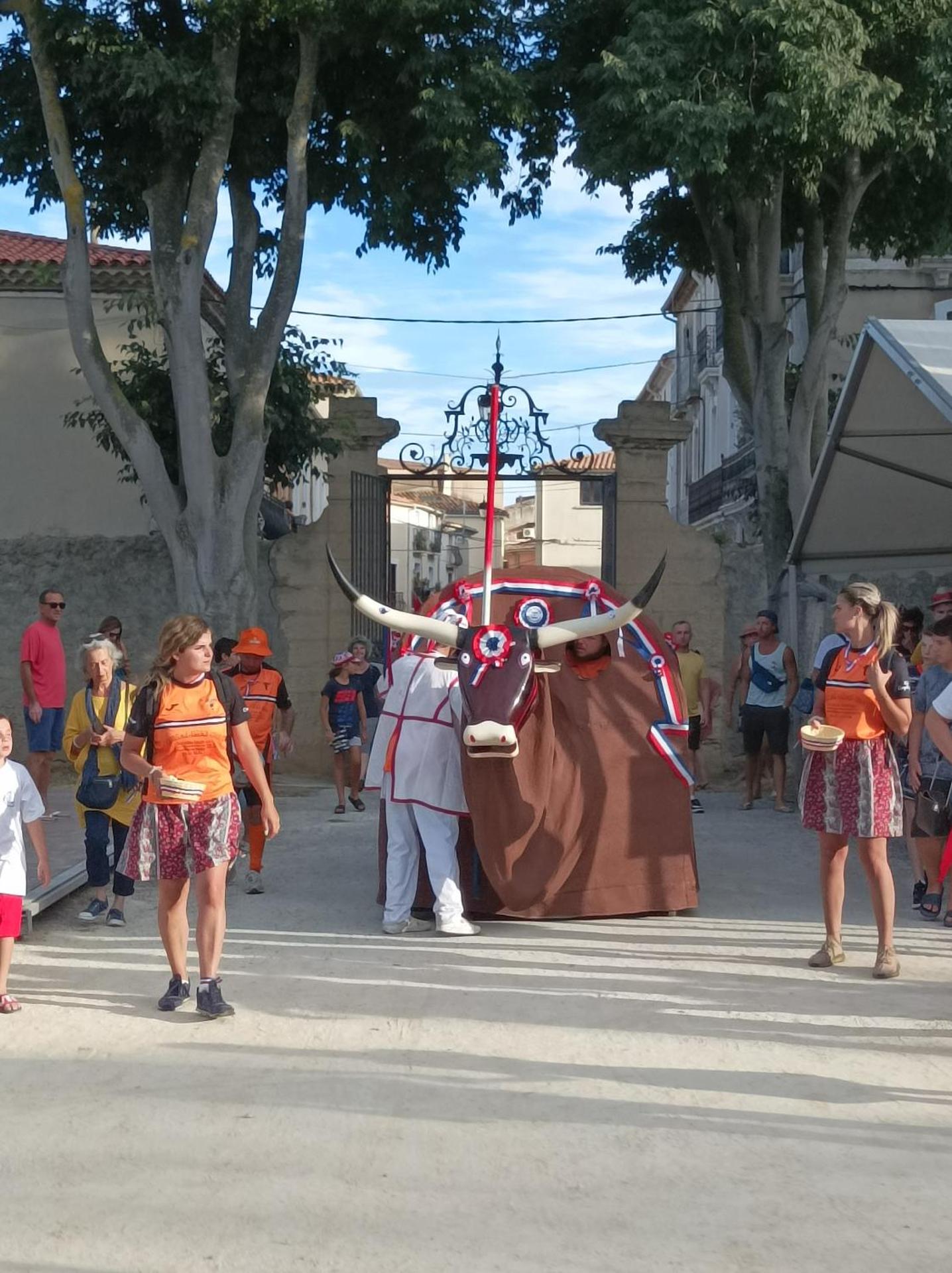 Studio vue château 100m étang, plage et halles