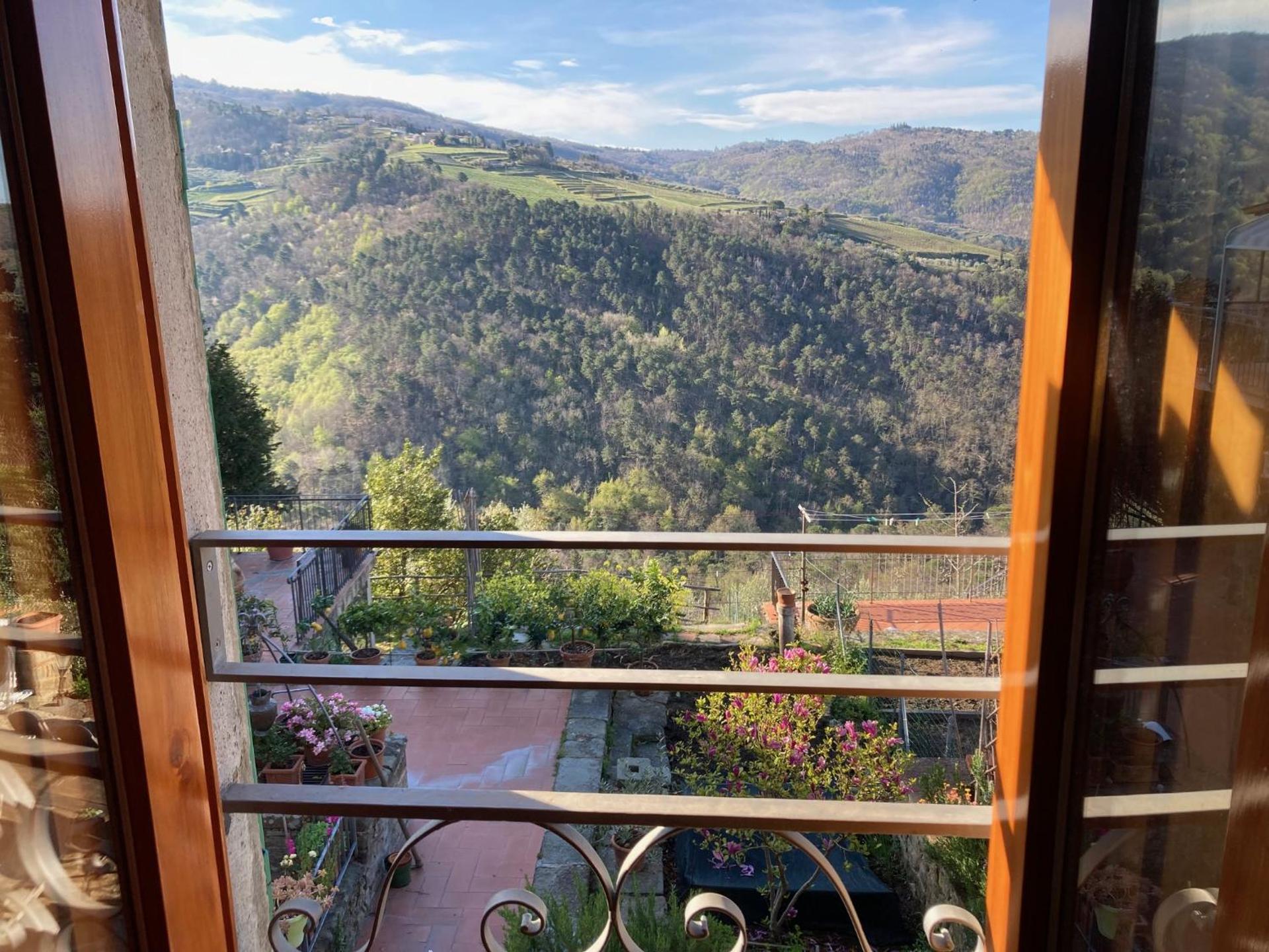 View (from property/room)