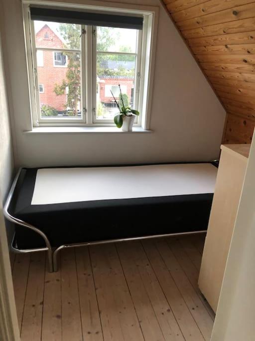 hyggeligt byhus tæt ved skov og togstation