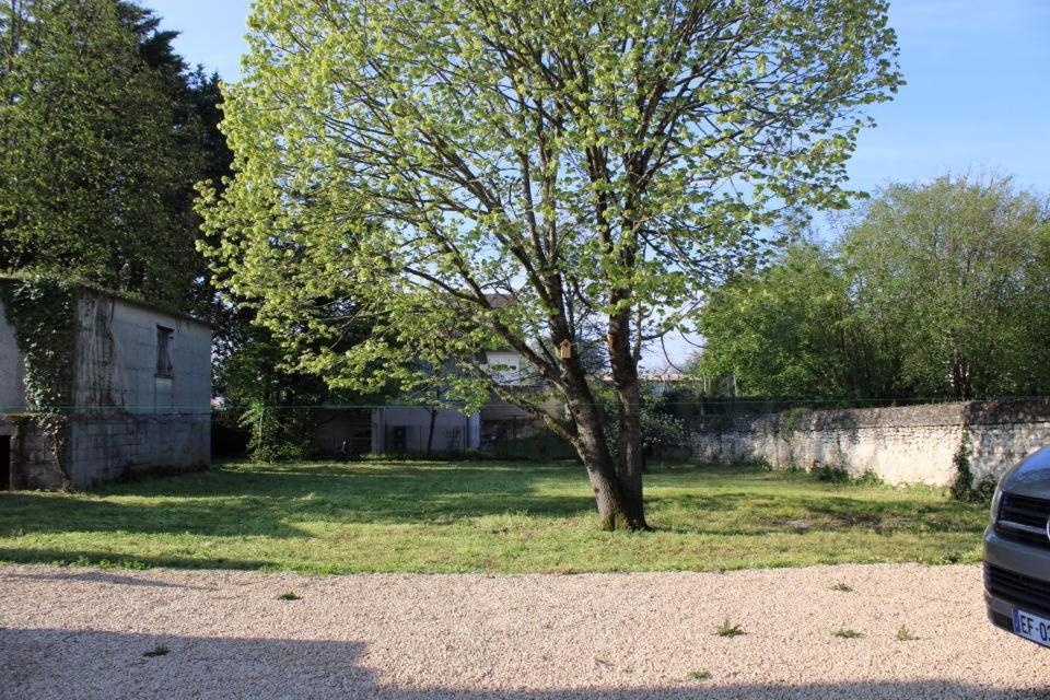 Coliwork Le Saint Romain