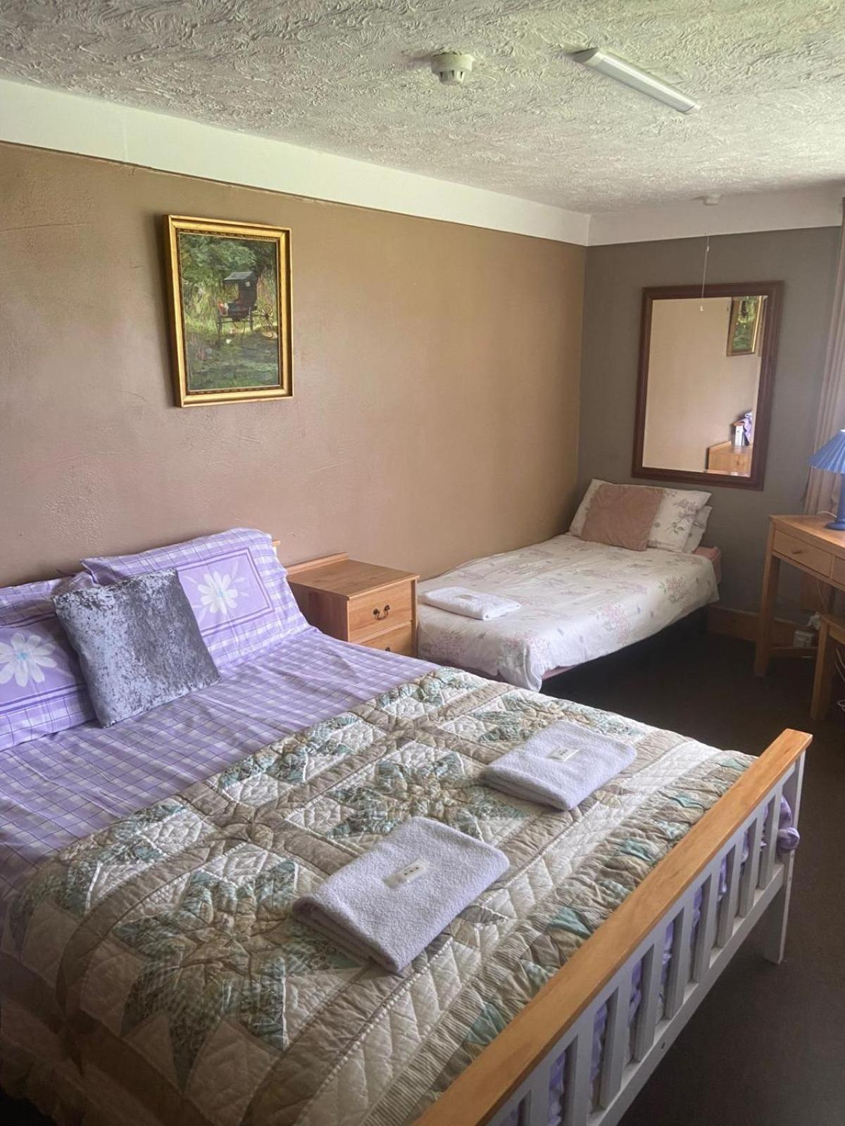 Haven of Trees - Hafan Y Coed