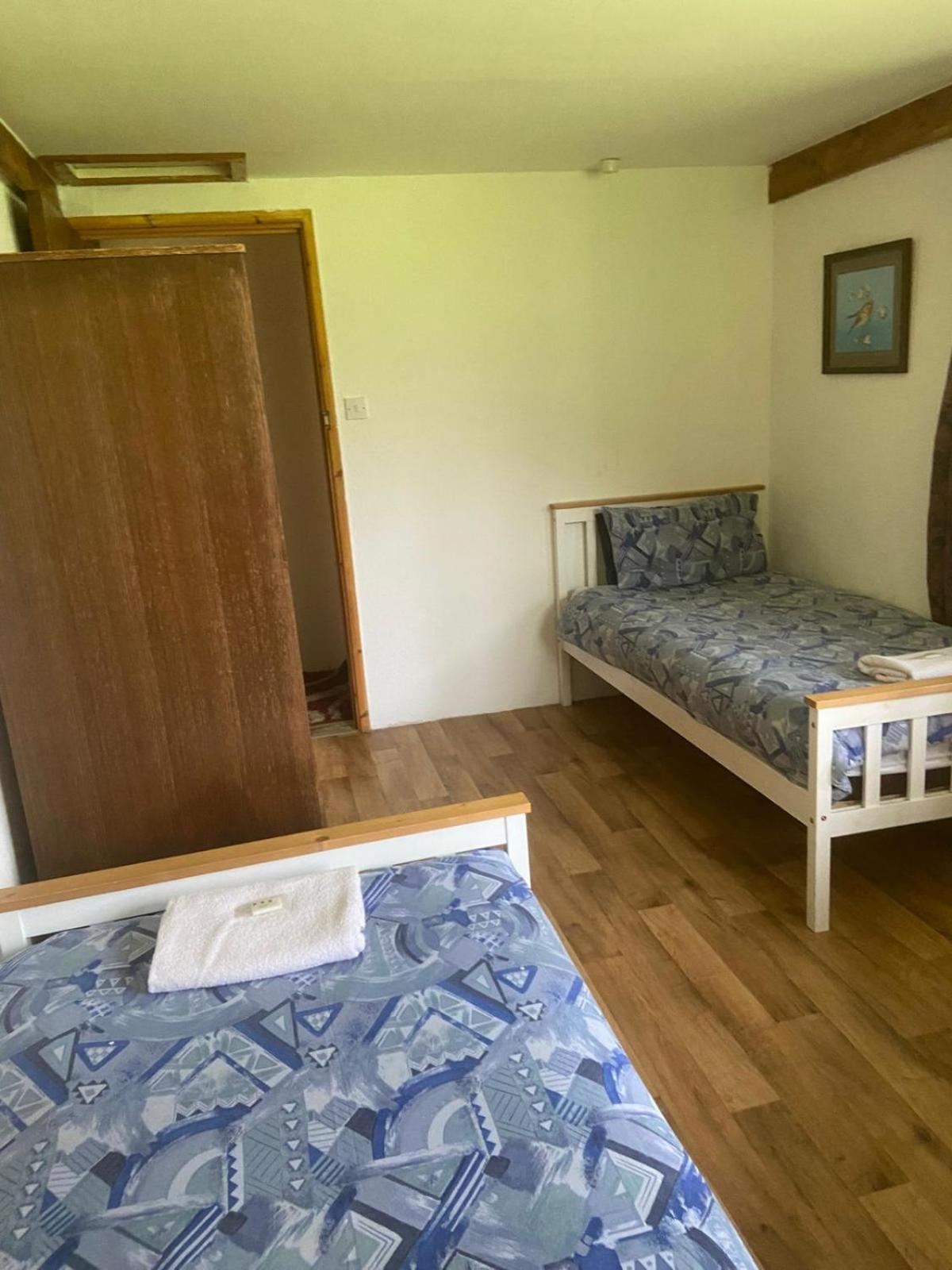 Haven of Trees - Hafan Y Coed