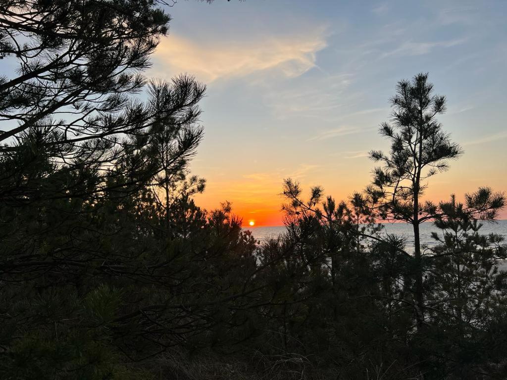 Pine Baltic Apartamenty Shellter Rogowo