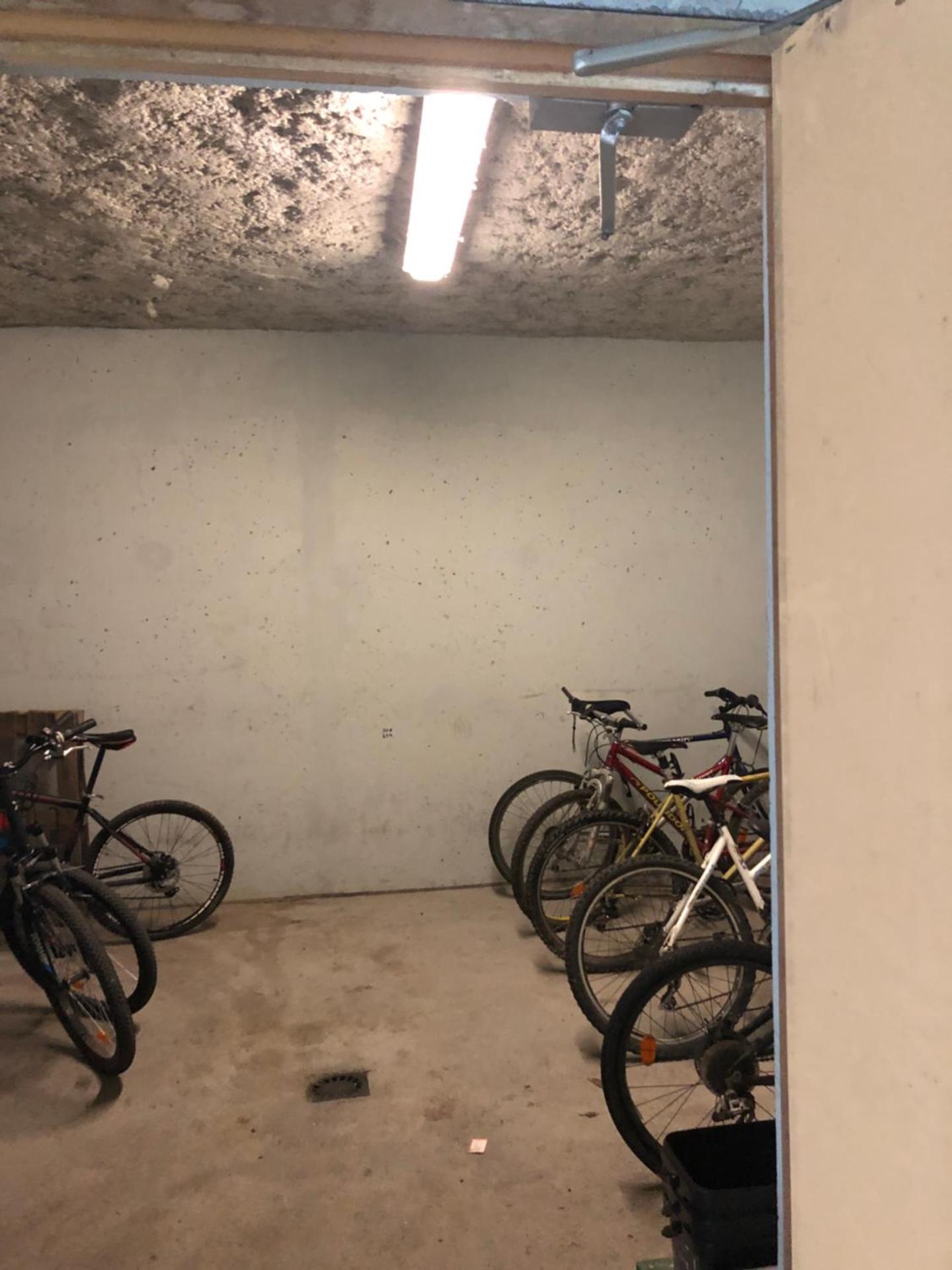 Studio - Le D2 du Grand Tetras