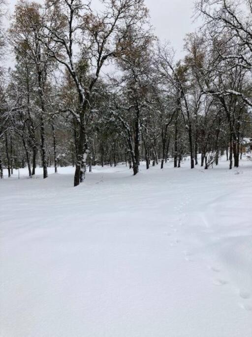 Cozy Cub Cabin, brand new home near Yosemite