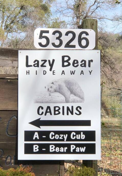 Cozy Cub Cabin, brand new home near Yosemite