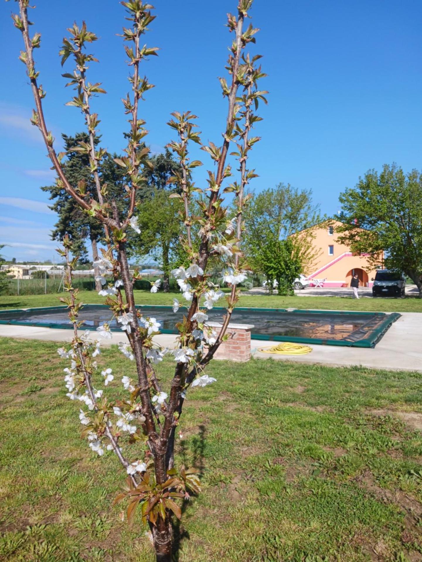IL CUORE DEL CONERO - CASALE CON PISCINA, Natura e Relax