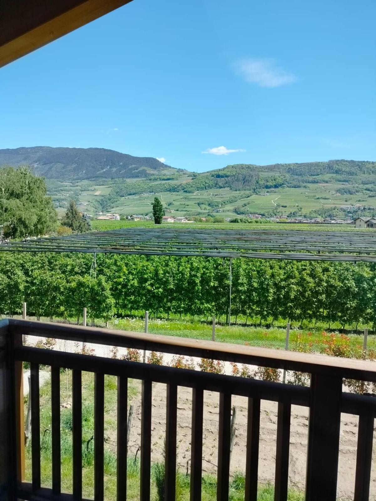 Agritur Lavanda