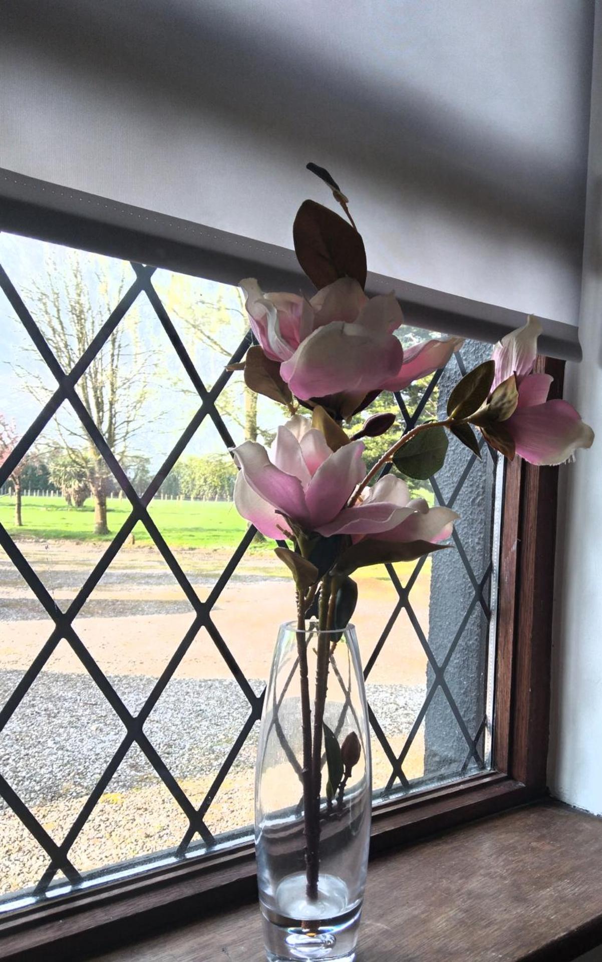 The Wandering Donkey Guest House