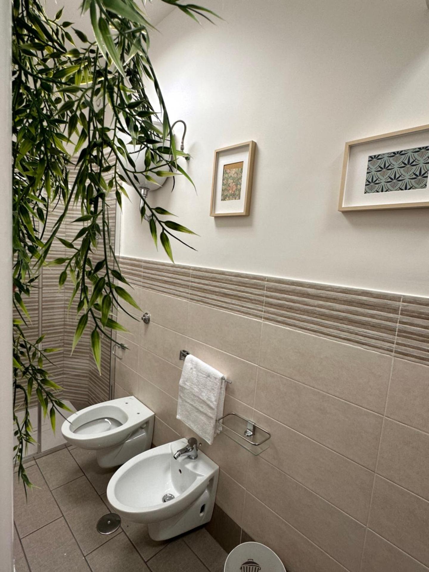 Zara Palace - Ariosto