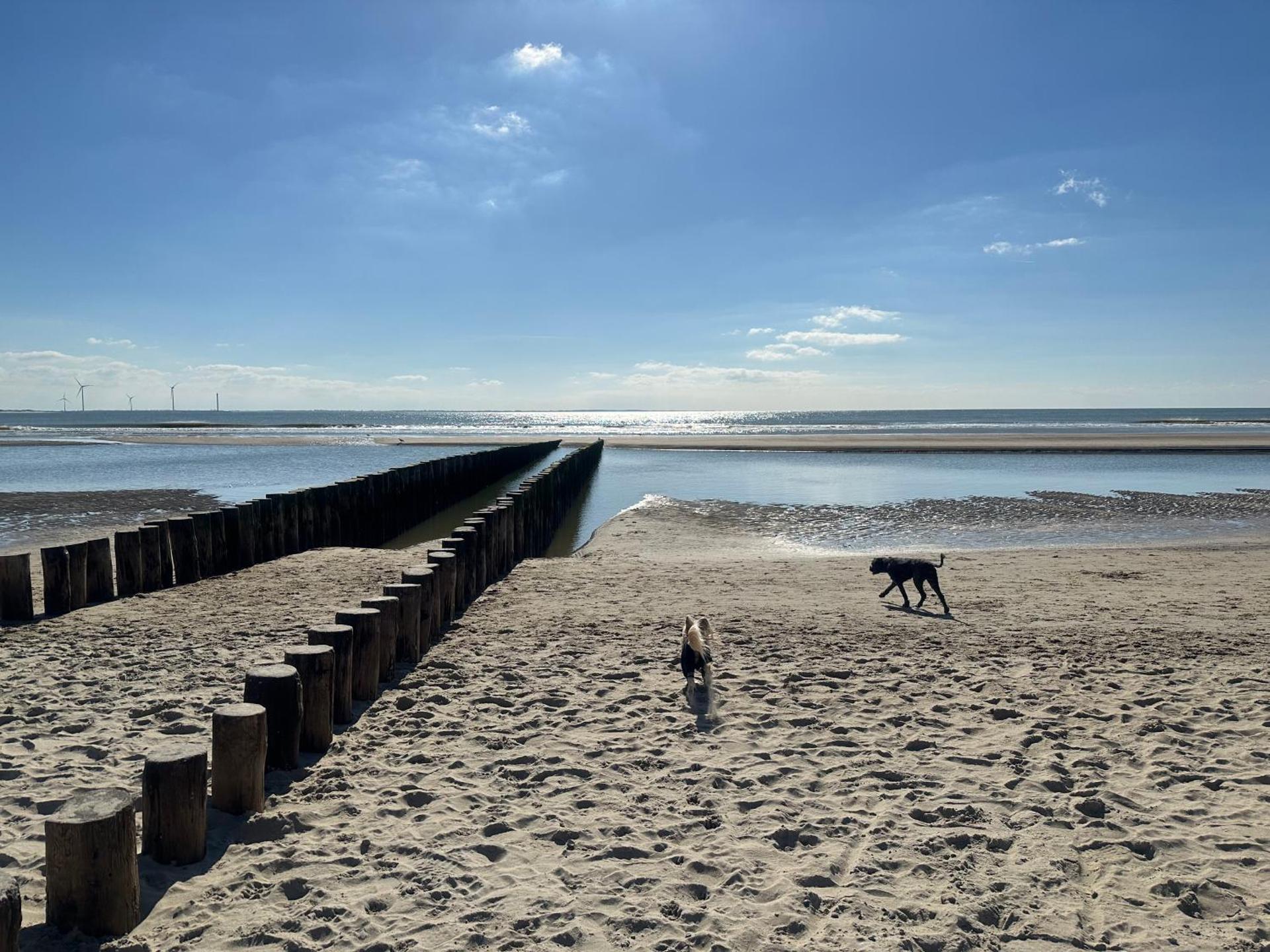 Het Tinkerparadijs, paarden, rust en ruimte.