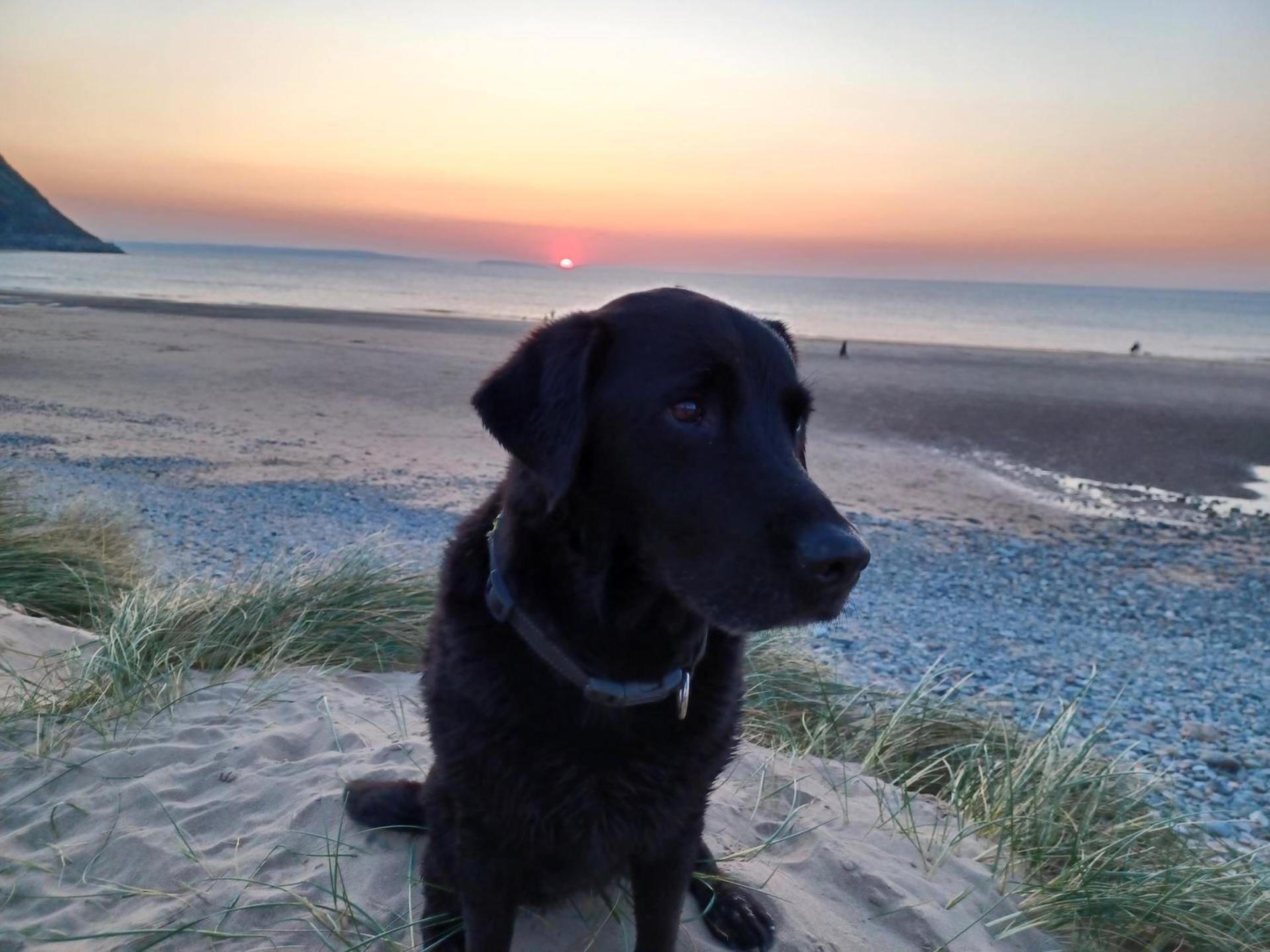 Cwtch Winnie Shepherd's Hut- Pen Cefn Farm Holiday