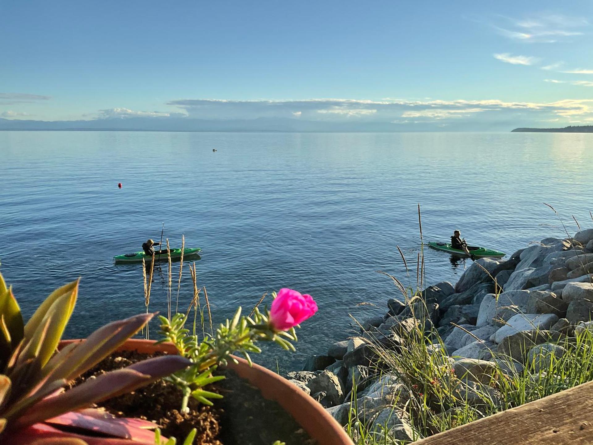 Blitz Beach House Oceanside Suite