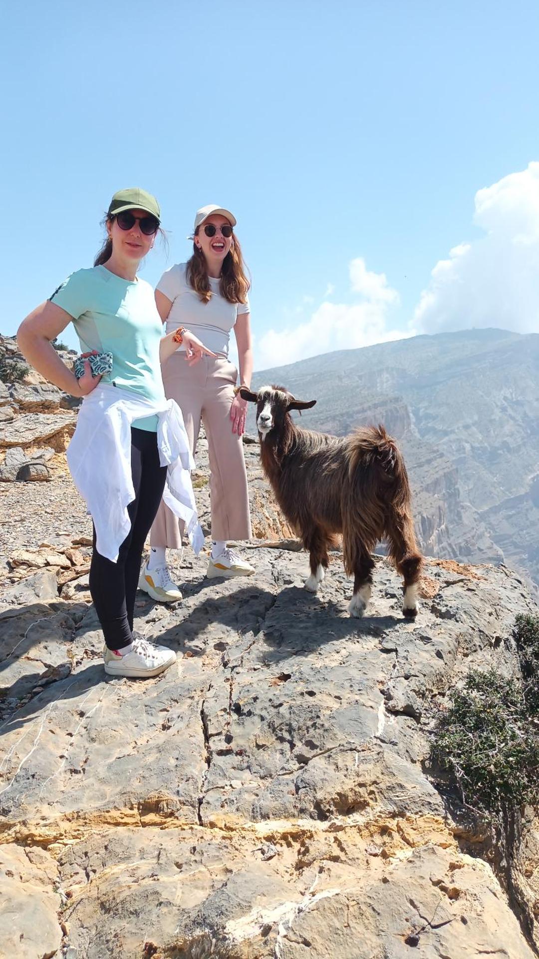 Sehma Guest House بيت السحمه للضيافه