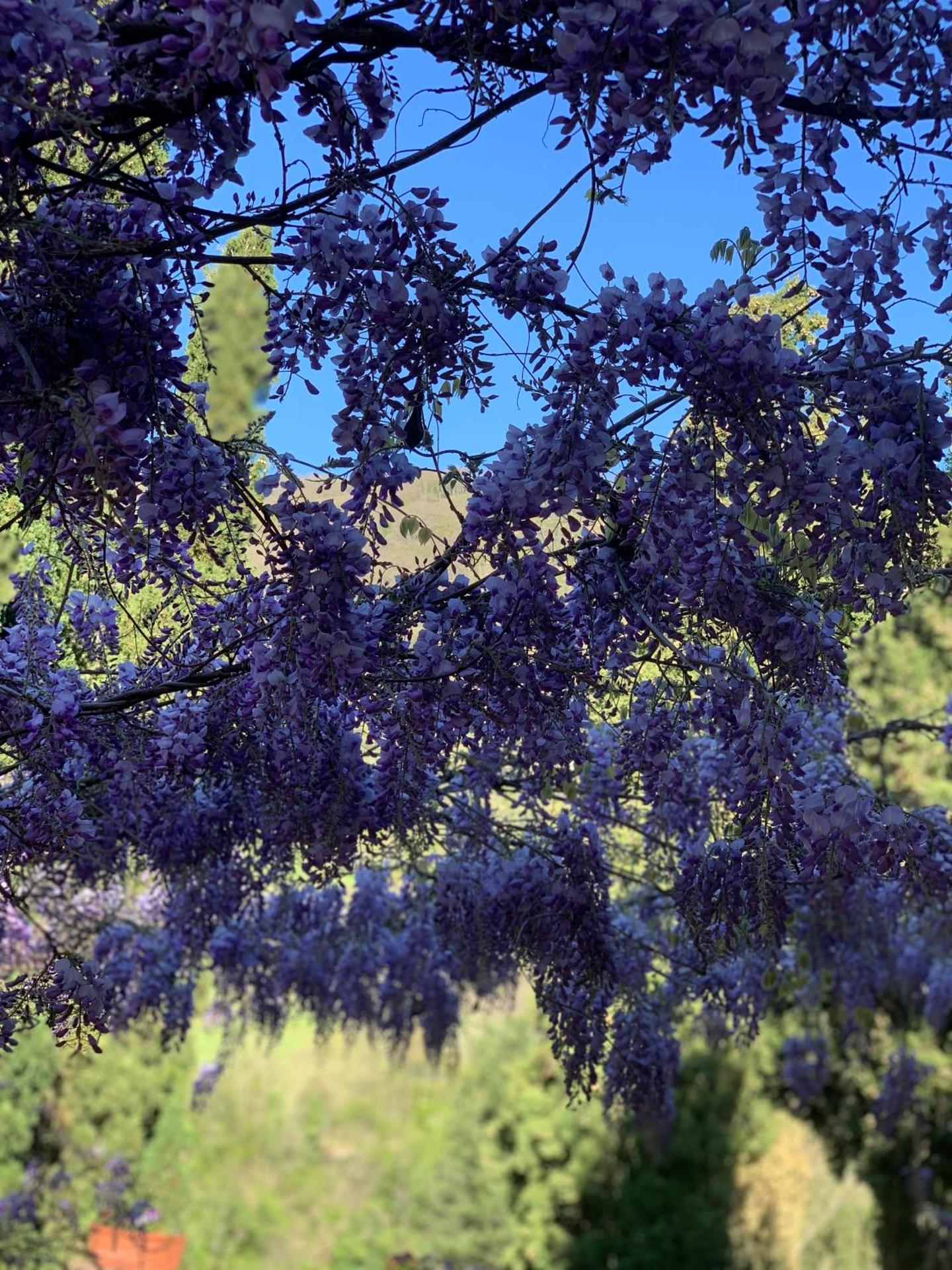 San Martino Vald'Afra